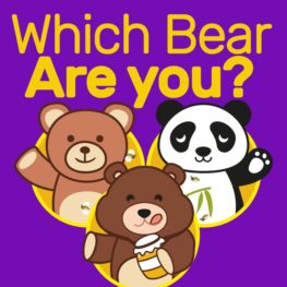 Which bear are you?